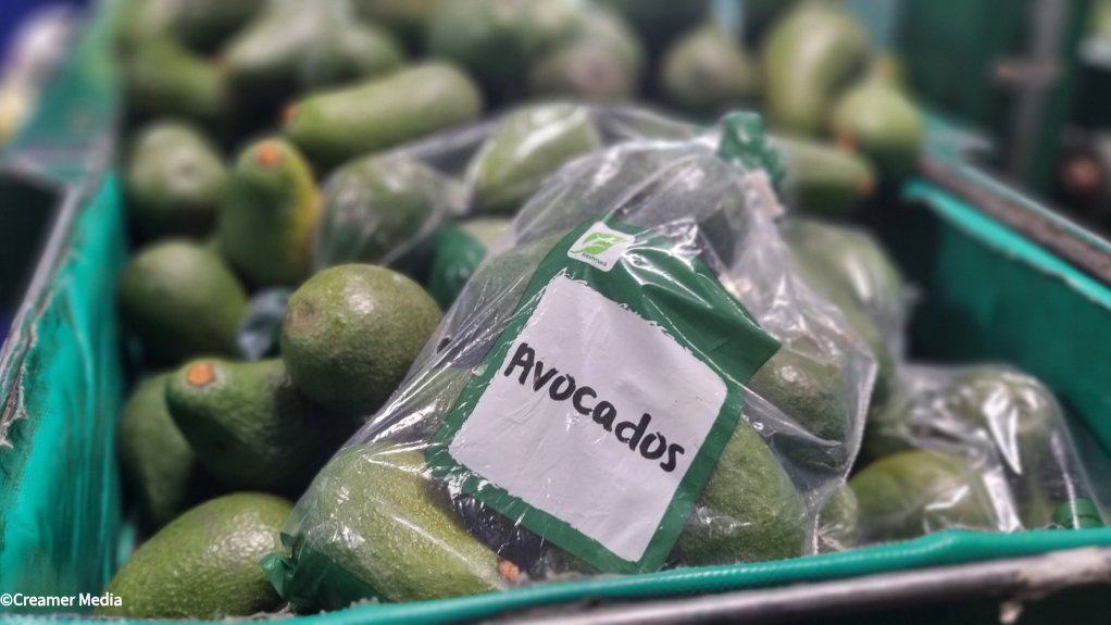 Westfalia Fruit avo packaging in Tzaneen