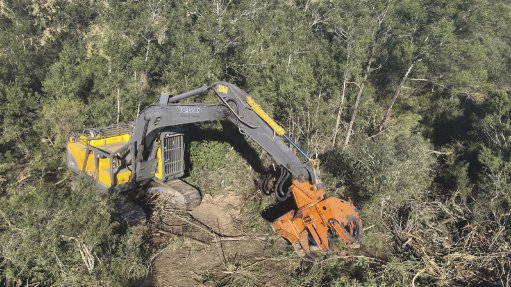  	An image of an excavator in the middle of invasive species 