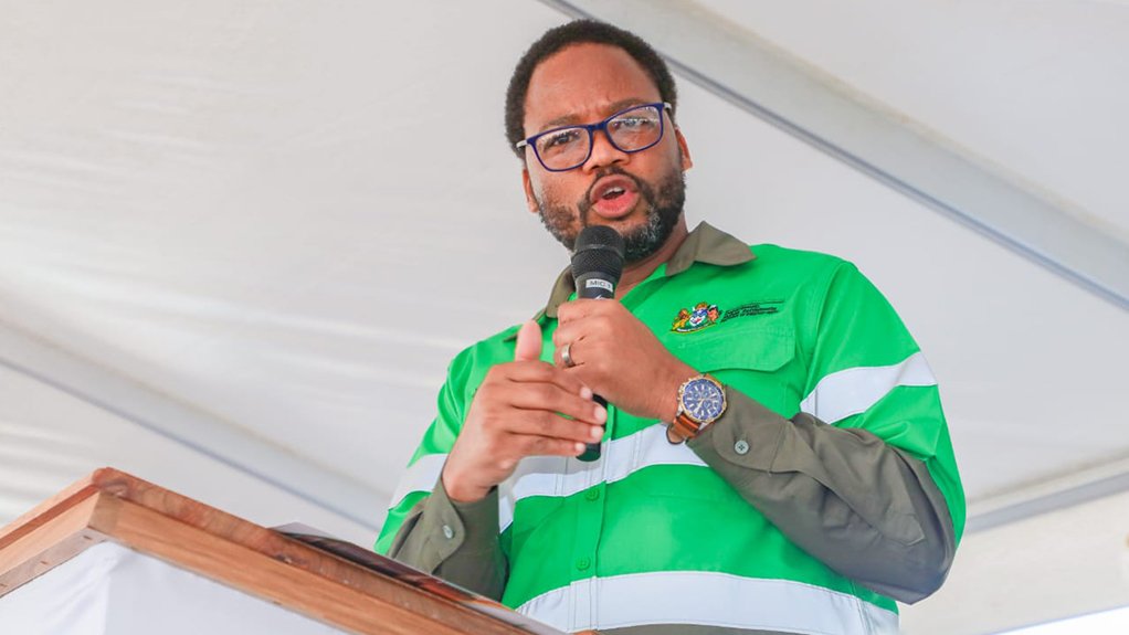 Department of Employment and Labour Deputy Minister Jomo Sibiya