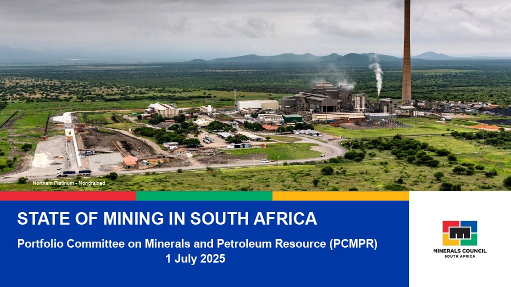 State of Mining In South Africa presentation to Parliamentary Committee.
