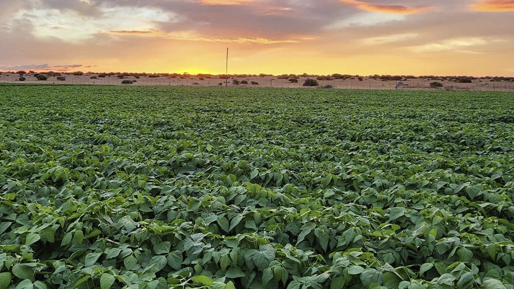 Orbia Netafim Celebrates 60 Years of Empowering Farmers Through Precision Irrigation