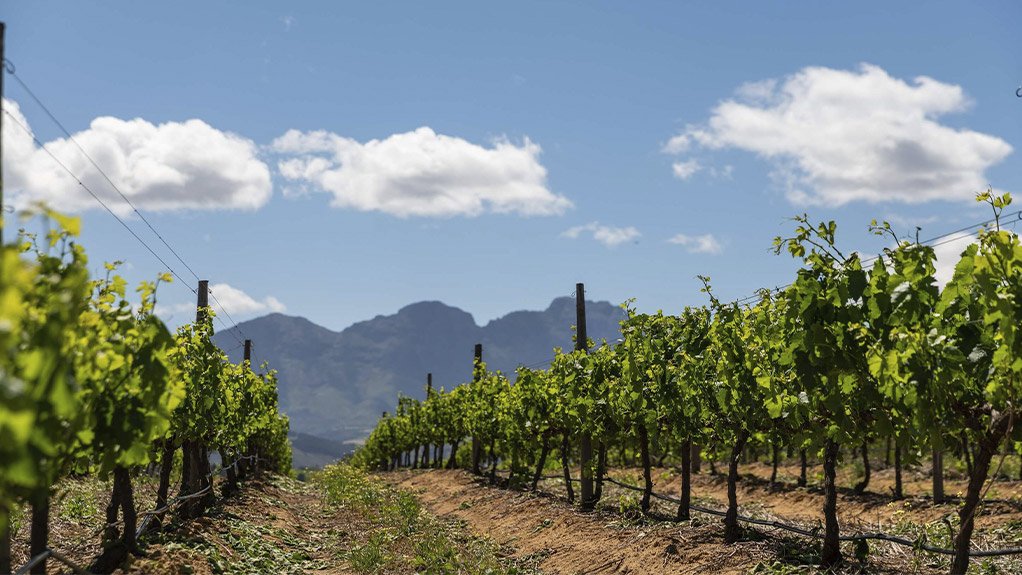 Orbia Netafim Celebrates 60 Years of Empowering Farmers Through Precision Irrigation