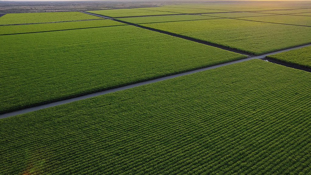 Orbia Netafim Celebrates 60 Years of Empowering Farmers Through Precision Irrigation