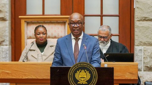 Trade, Industry and Competition Minister Parks Tau