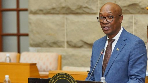 Trade, Industry and Competition Minister Parks Tau