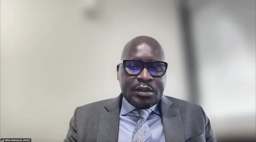 Parliament’s Portfolio Committee on Minerals meeting chaired by Mika Mahlaule.