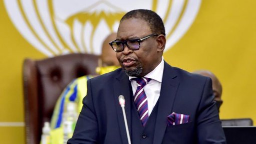Finance Minister Enoch Godongwana 