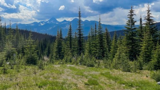 Taseko gets going on Yellowhead enviro review  