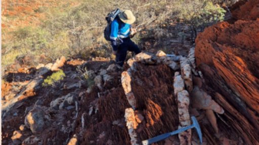 Black Cat senior geologist Sammy Bakie conducting reconnaissance mapping and sampling at Big Sarah.