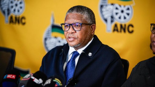 Image of Fikile Mbalula