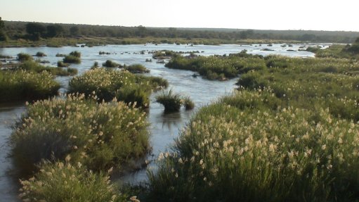 An image of a wetland