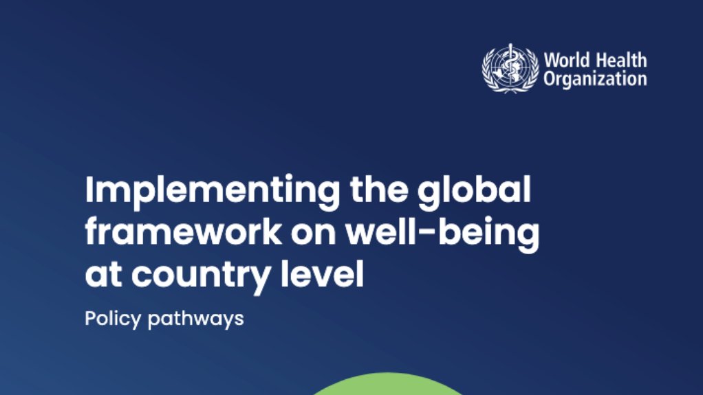  Implementing the global framework on well-being at the country level