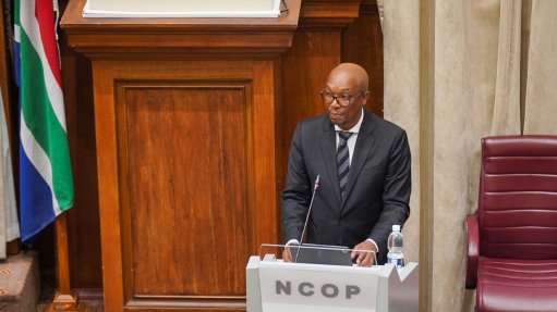 Trade, Industry and Competition Minister Parks Tau 