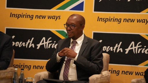 Trade, Industry and Competition Minister Parks Tau
