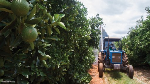 Citrus farming