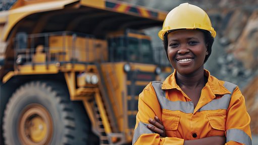 Minerals Council South Africa