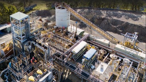 Image of Hillgrove plant