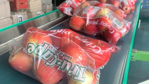 An image of apples on a conveyor