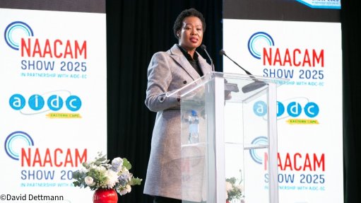 Small Business Development Minister Stella Ndabeni
