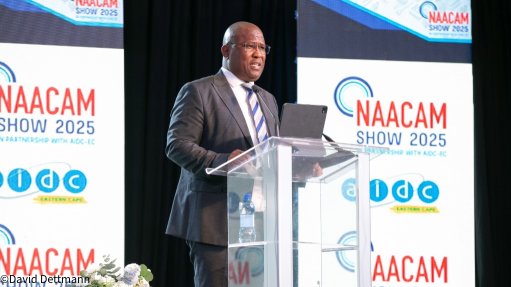 Eastern Cape Premier Lubabalo Oscar Mabuyane