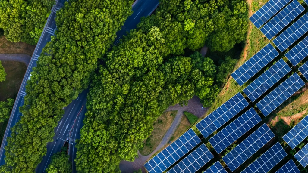 An image of solar panels on an open field