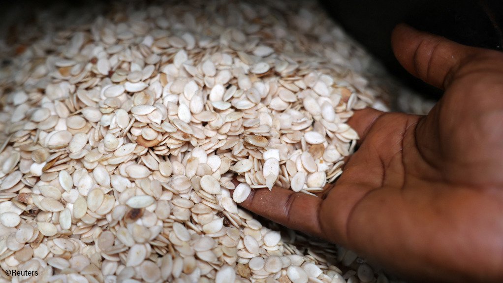 egusi seeds for sale at a market