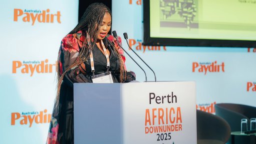 Deputy Mineral and Petroleum Resources Minister Phumzile Mgcina 