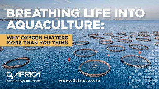 O2Africa post image