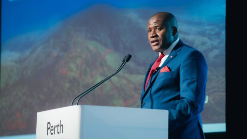 Guinea Planning and International Cooperation Minister Ismael Nabe.