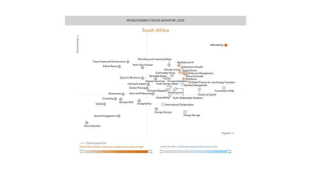 South Africa’s Energy Challenge: The World Energy Issues Monitor Unplugged