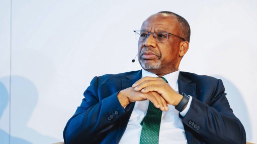 B20 South Africa energy mix and just transition task force chairperson Daniel Mminele