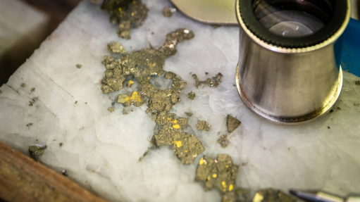 Image of flakes of gold from Cariboo gold project