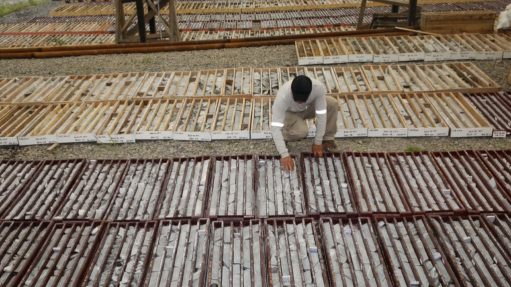 Image of drill core from the Cascabel project