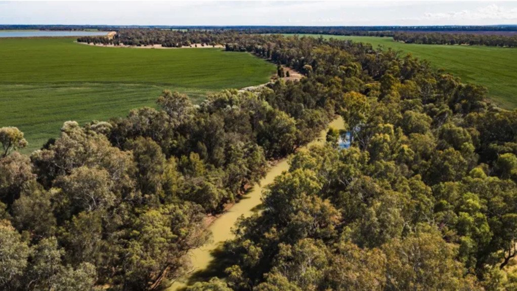 Rio Tinto backs new A$250m agriculture–carbon venture in Australia