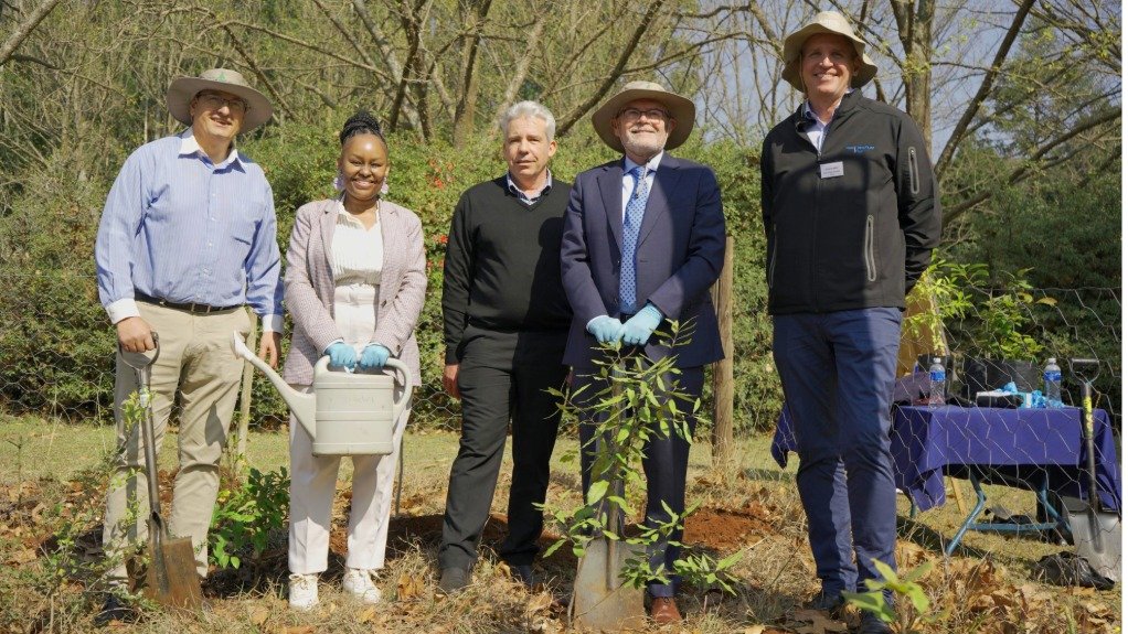 Celebrating Arbor Month: Sappi’s commitment to indigenous forests  