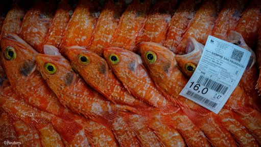 Fish on sale at a market in Portugal