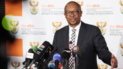 Minister of Trade, Industry and Competition Parks Tau