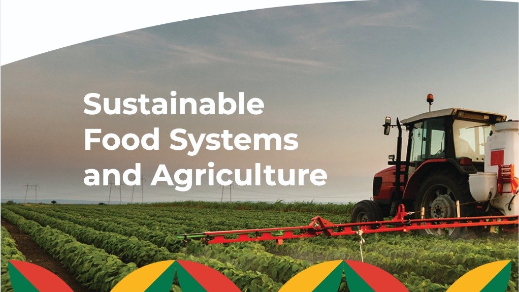 B20 South Africa Sustainable Food Systems and Agriculture Final Paper