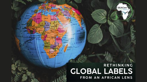 Rethinking Global Labels from an African Lens