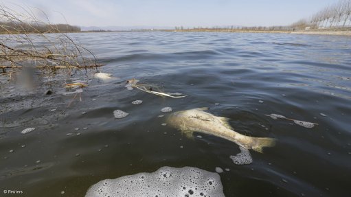 A polluted river