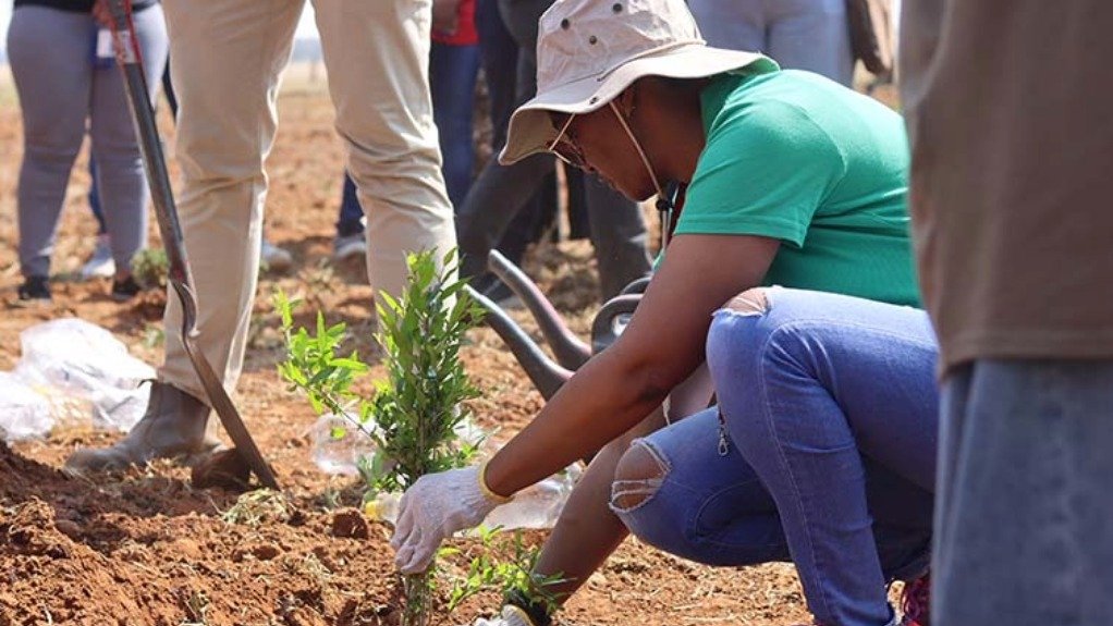 UFS tree-planting initiative