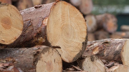 An image of York Timber wood 