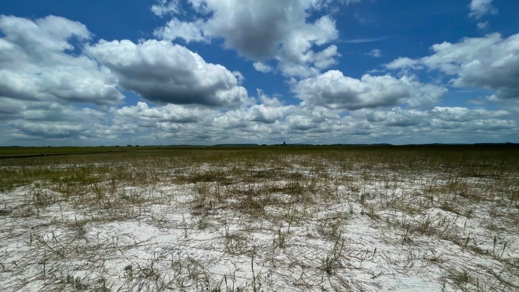 An image of early stage revegetation of tailings dam