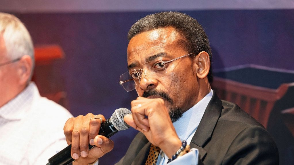 Minerals Council South Africa CEO Mzila Mthenjane