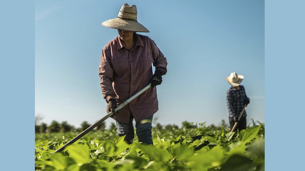 Africa's climate health crisis could amplify global $1.5 trillion productivity loss as continent bears 94% of world's malaria burden