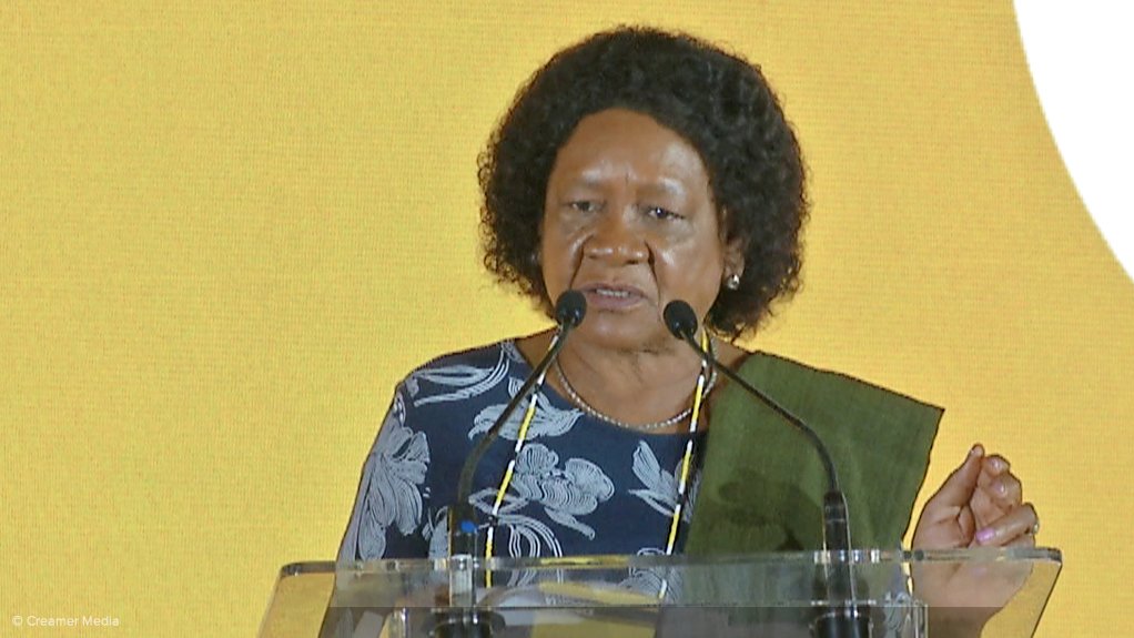 Evelyn Ndlovu