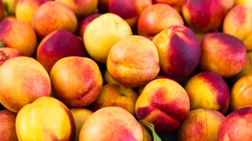 Nectarines