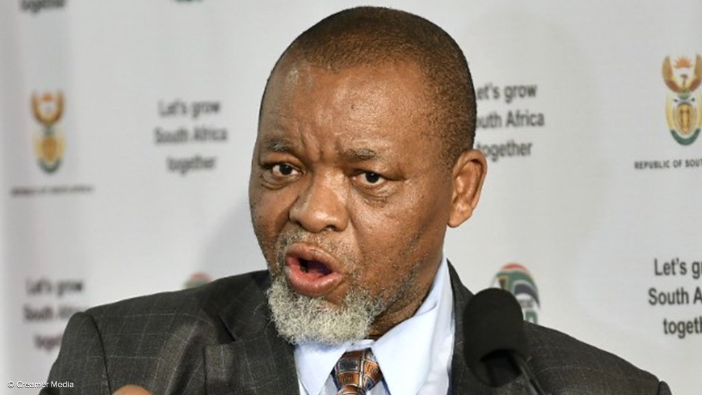 Mineral and Petroleum Resources Minister Gwede Mantashe 