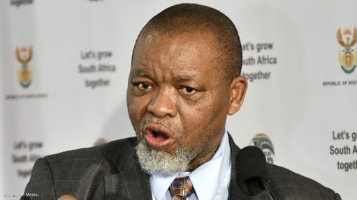 Mineral and Petroleum Resources Minister Gwede Mantashe 