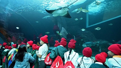 Vodacom launches Eco-Warriors Sustainability Competition
